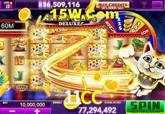 Experiência VIP 11CC